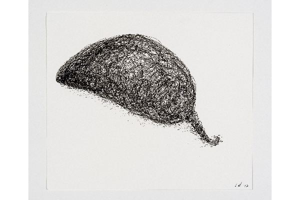 Drawn into Life XV, ink on Canson Bristol, 11x9 in.